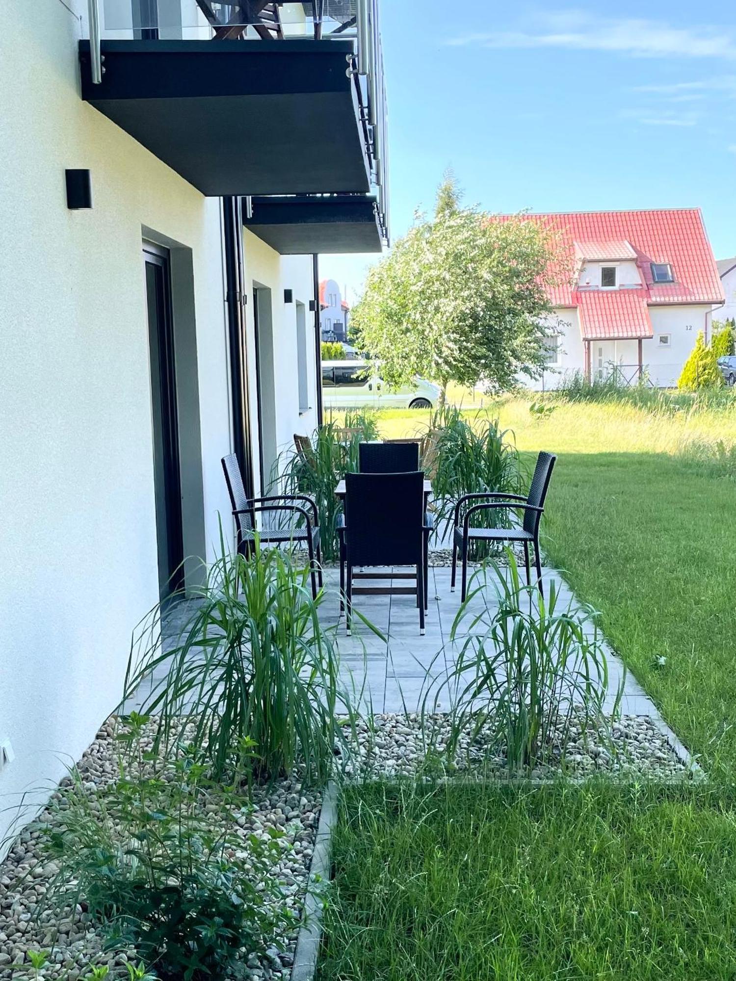 Konik Morski Łeba Eksteriør billede